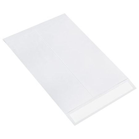 Bsc Preferred 9 x 12'' Flat Ship-Lite Envelopes, 100PK BUY00029096